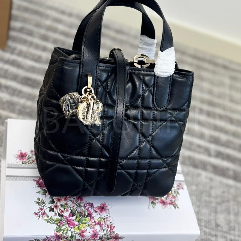 디올 투주르 쇼퍼백