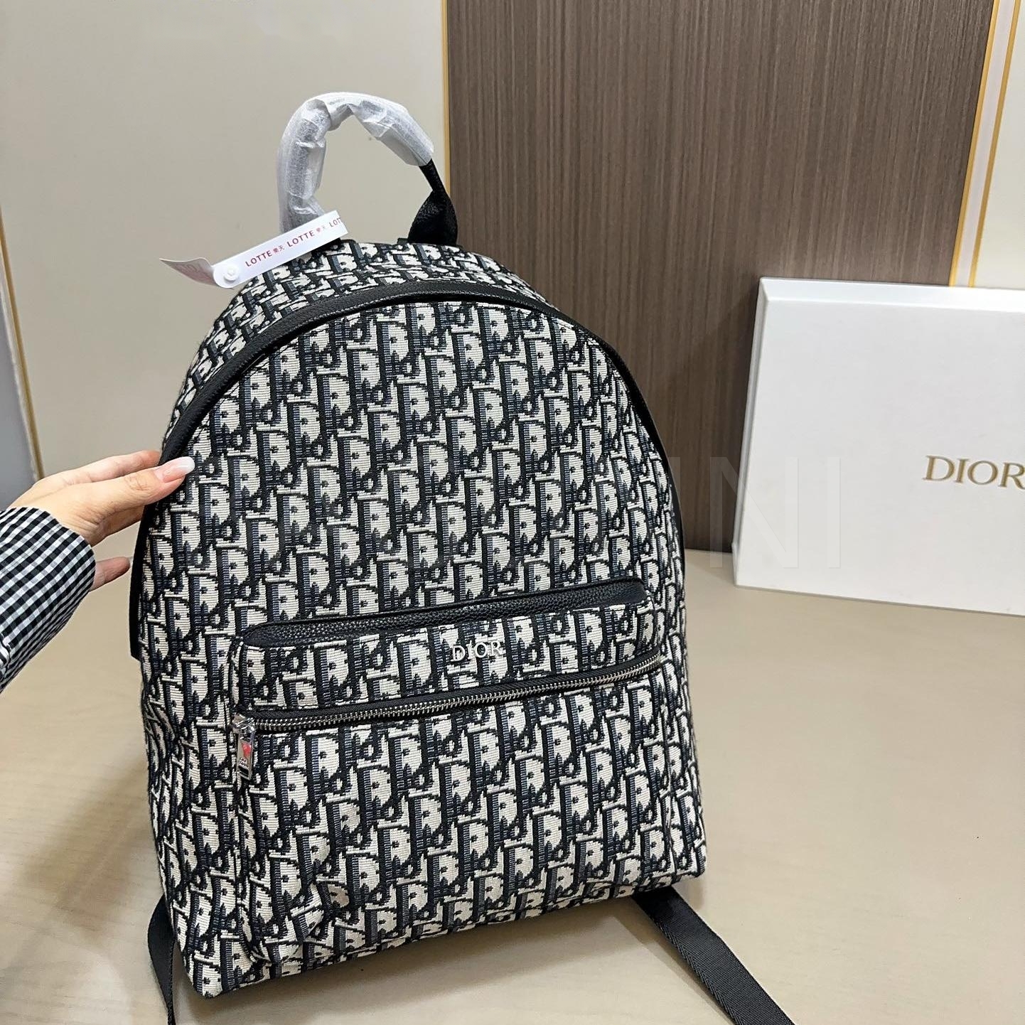 디올 라지 백팩