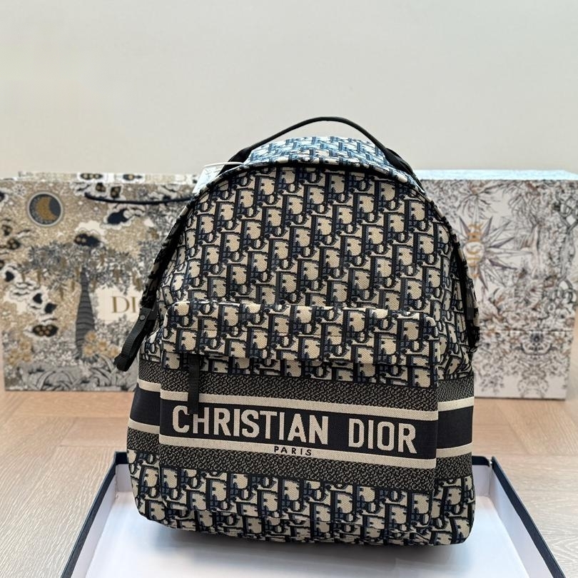 디올 라지 백팩