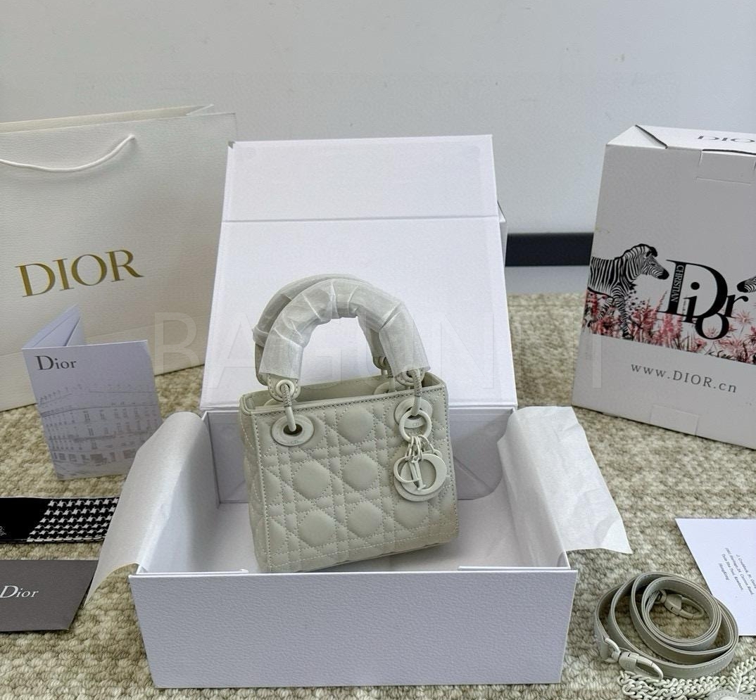 디올 레이디 디올 탑핸들백