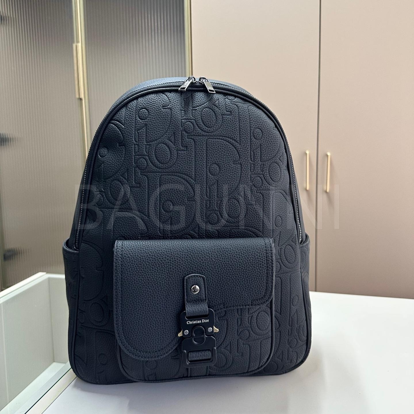 디올 라지 백팩