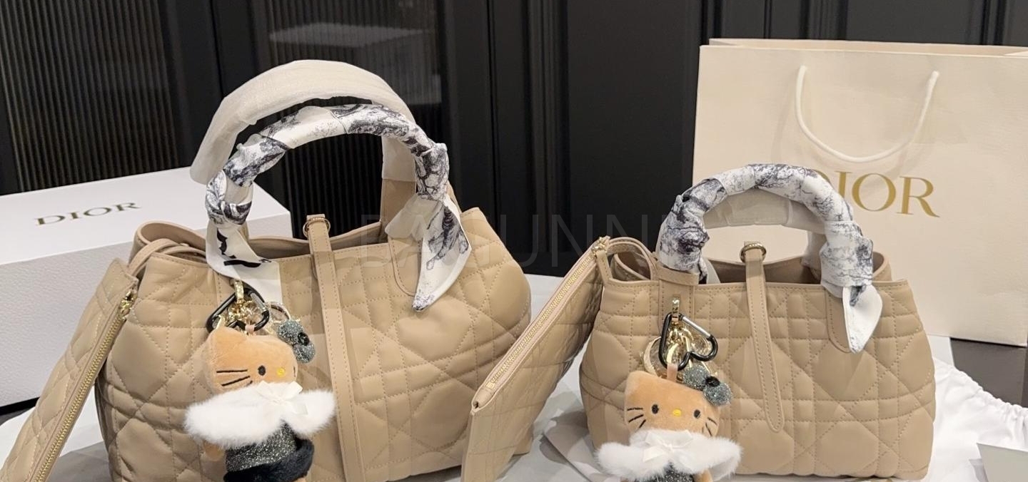 디올 투주르 토트백