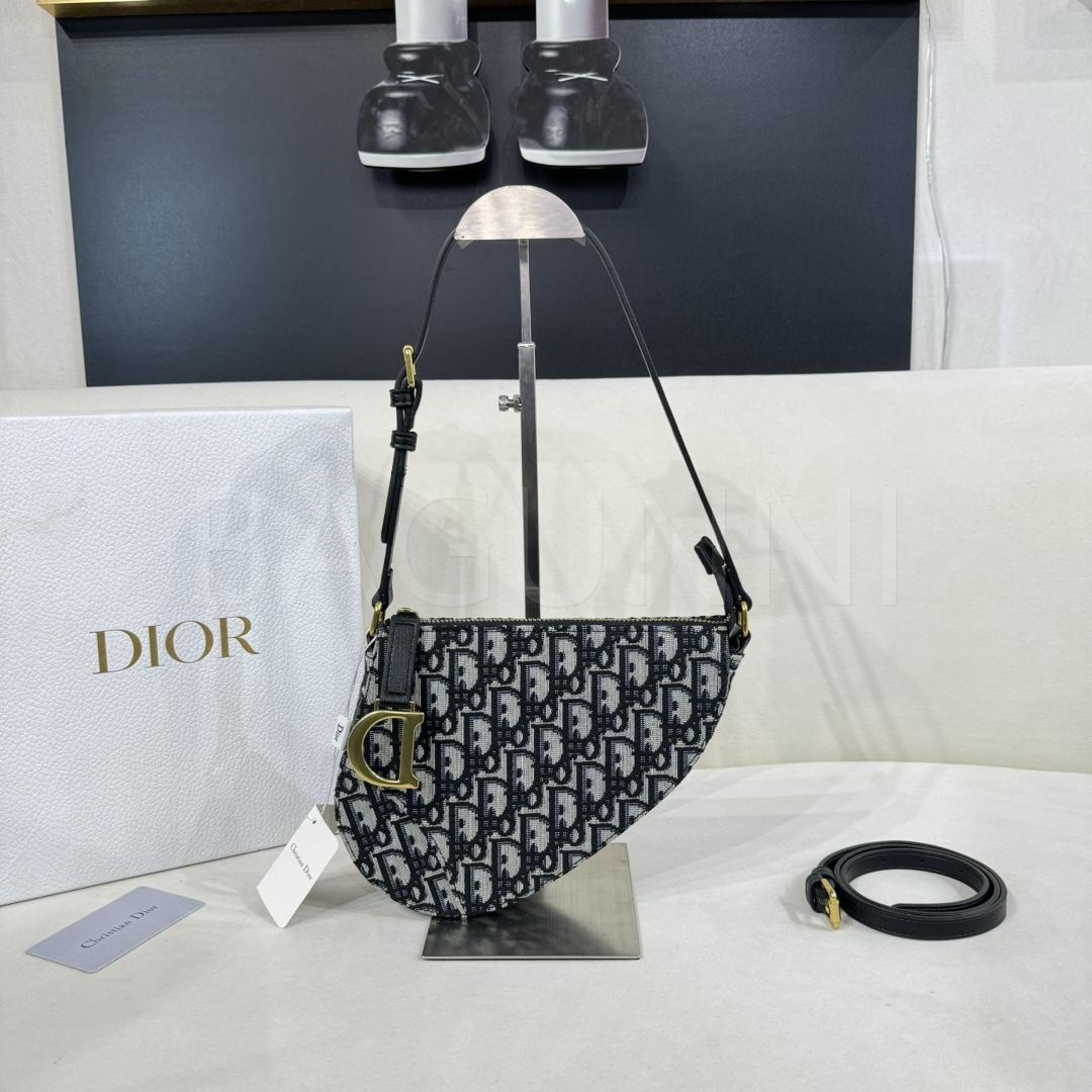 디올 크레센트 크로스백