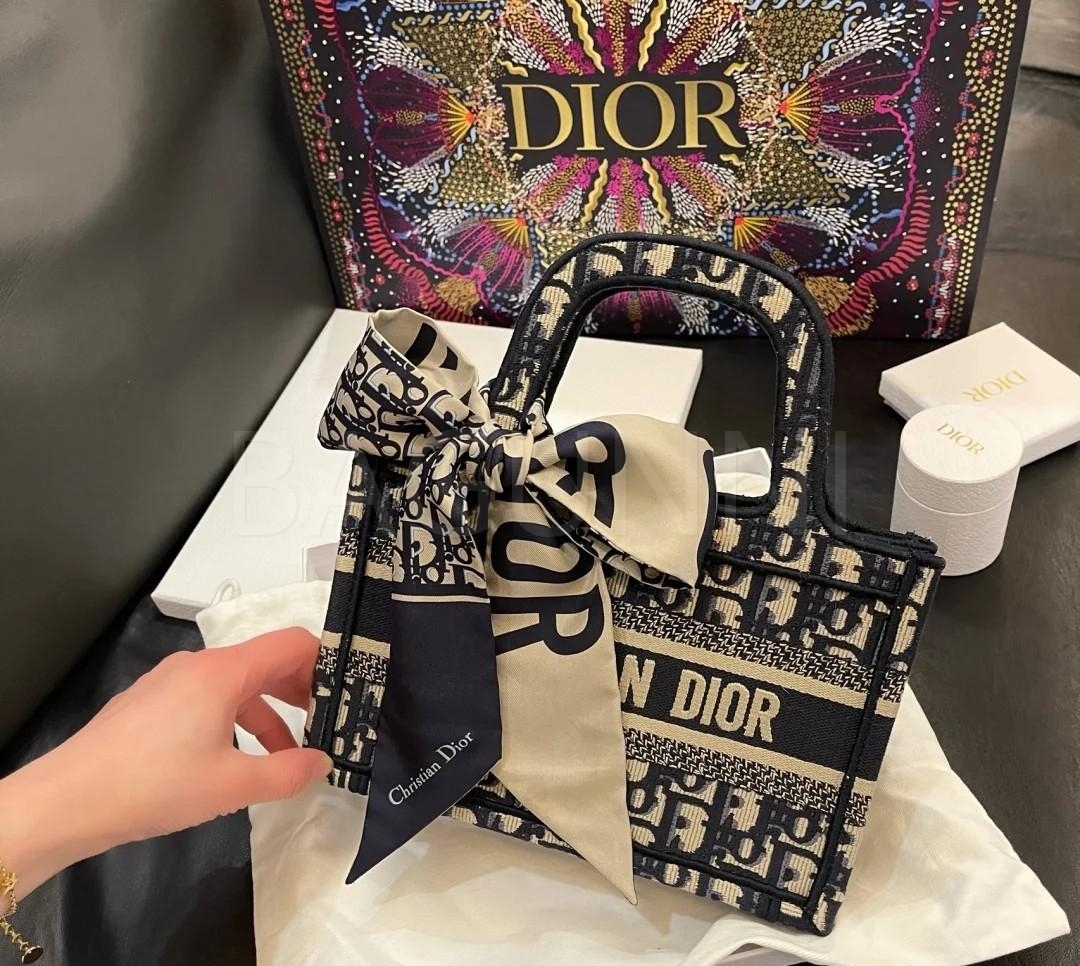 디올 미니 북 토트