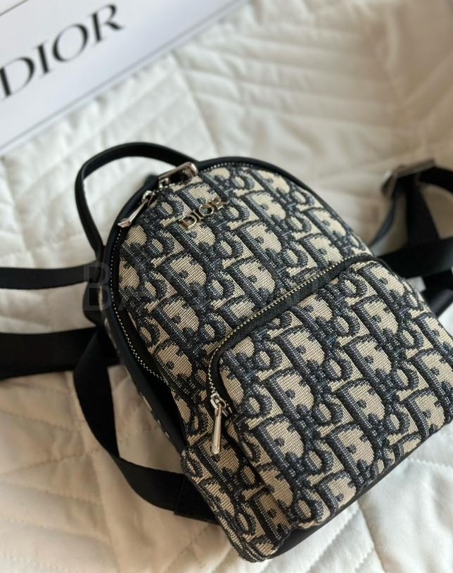 디올 레더 백팩