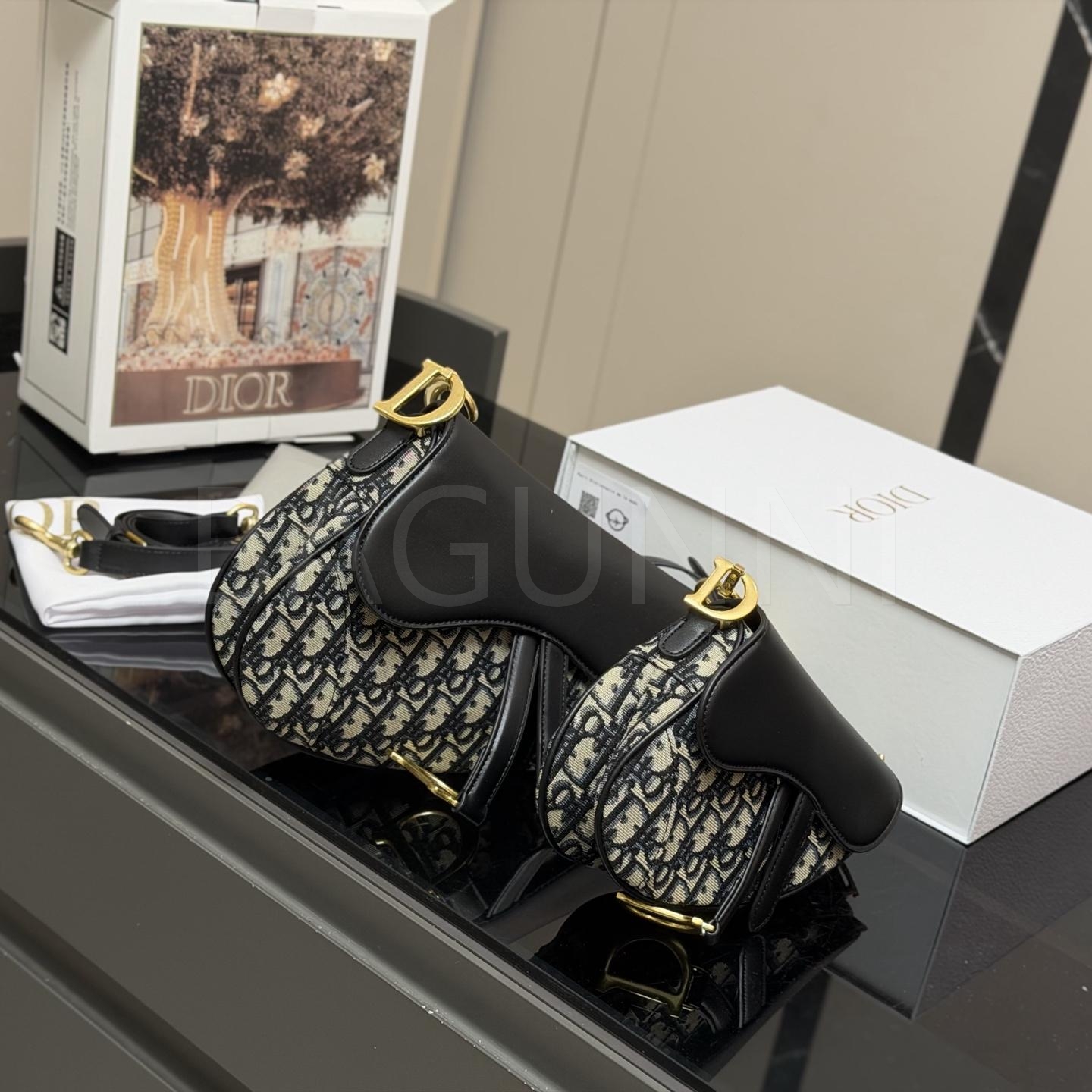 디올 오블리크 백