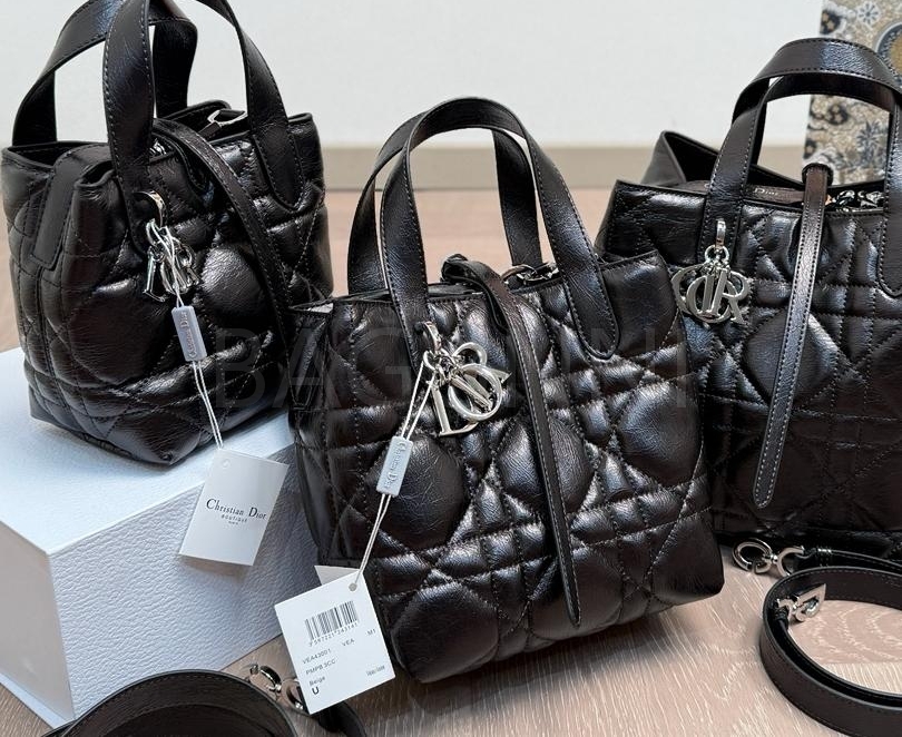 디올 투주르 토트백