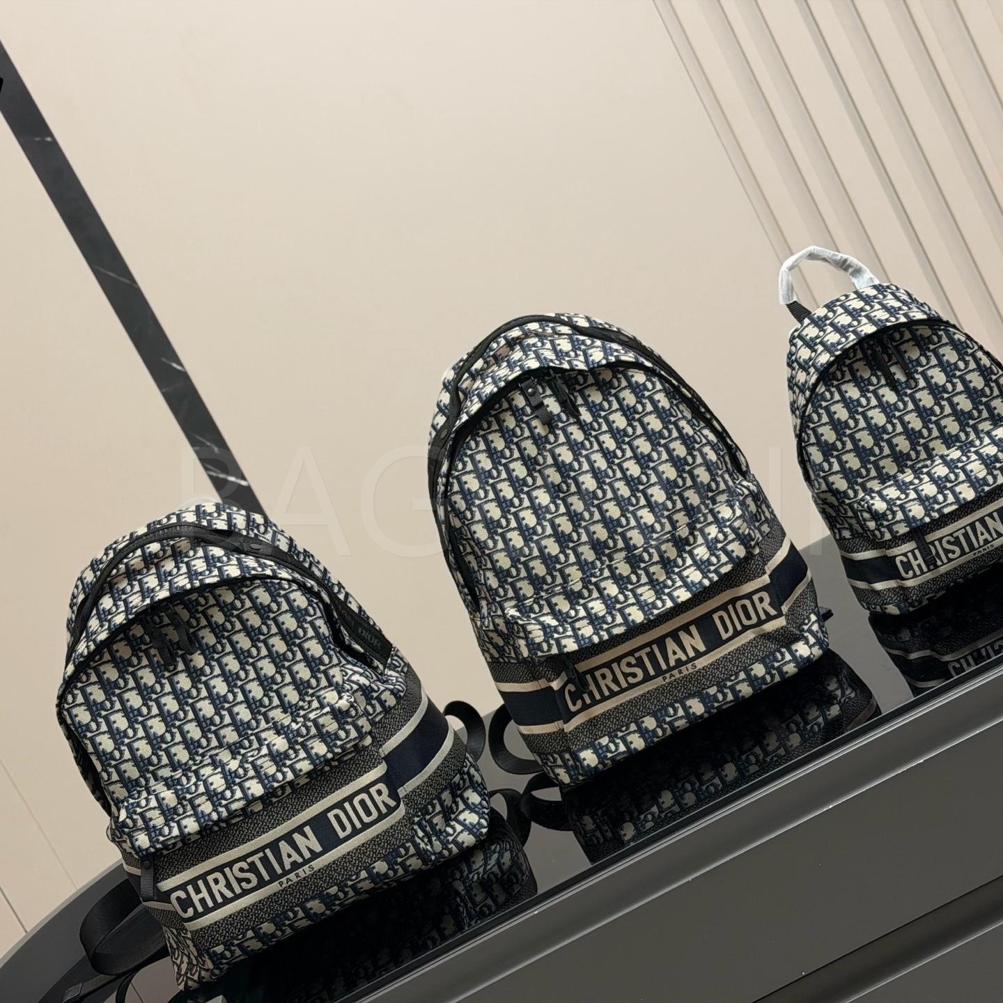 디올 미니 백팩