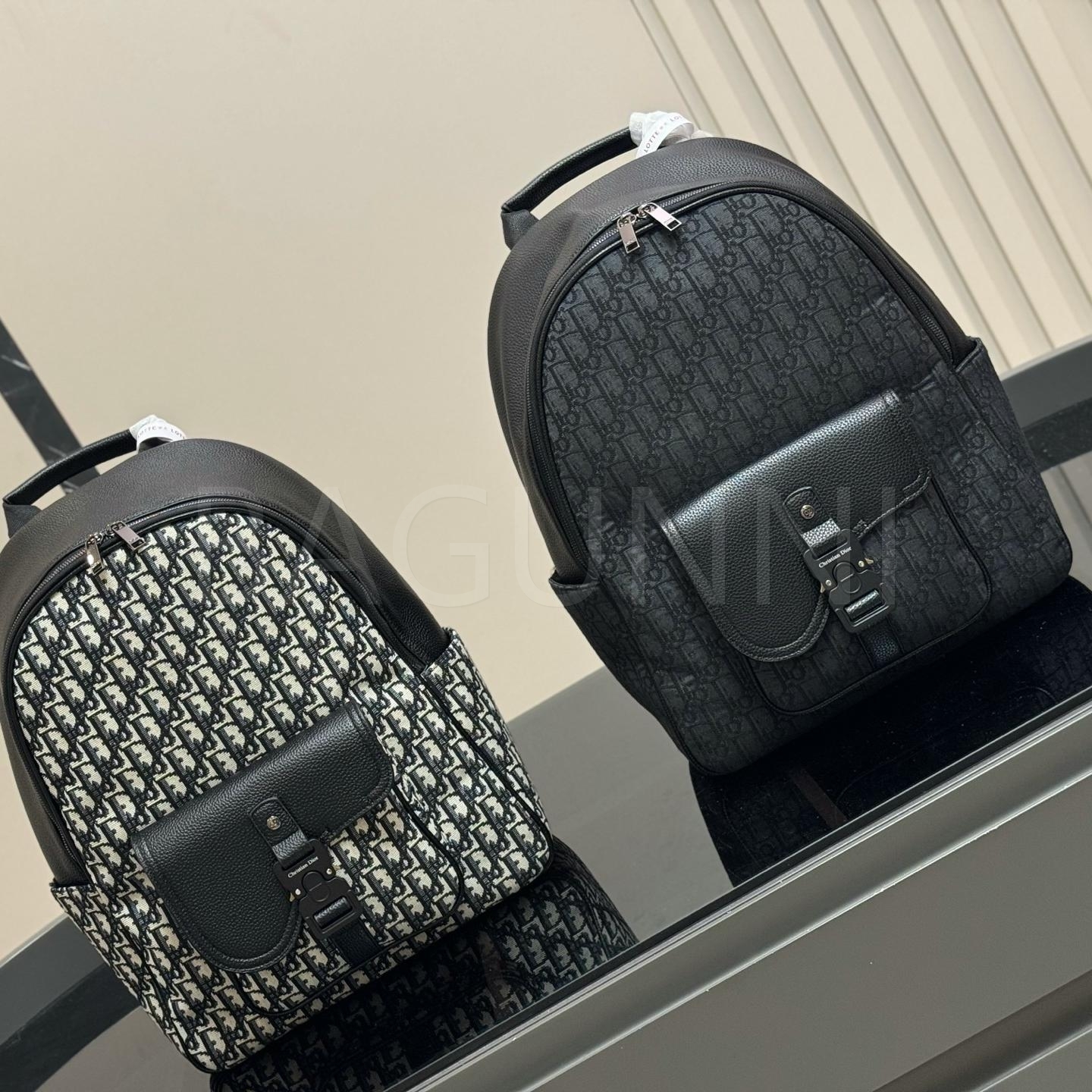 디올 오블리크 백팩