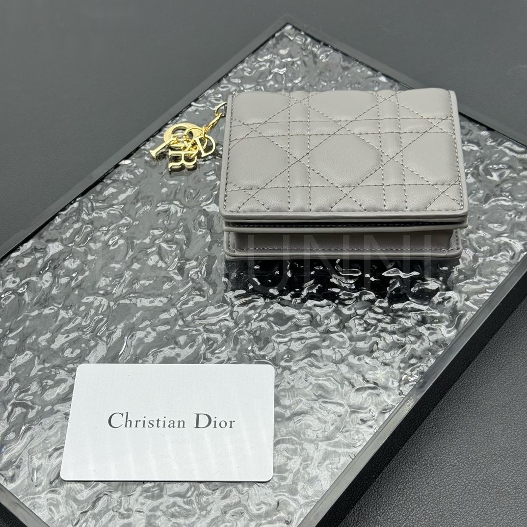 디올 레이디 디올 카드지갑