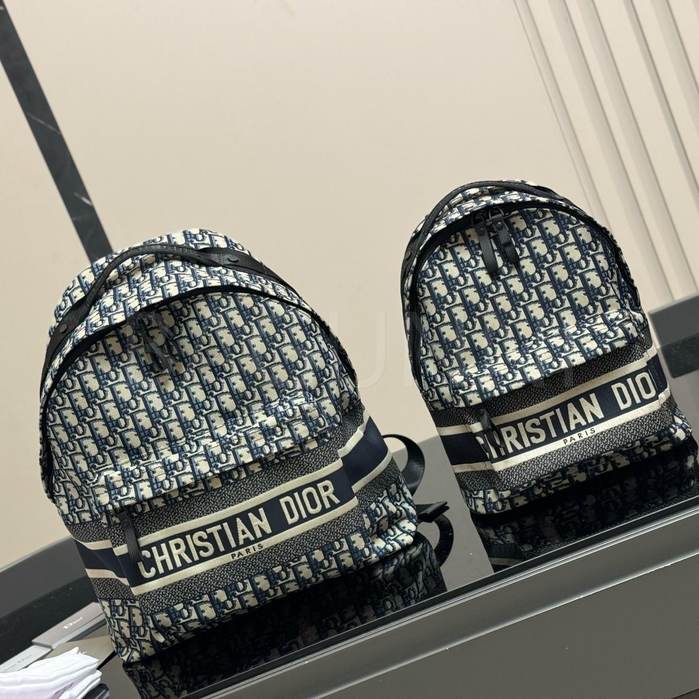 디올 라지 백팩