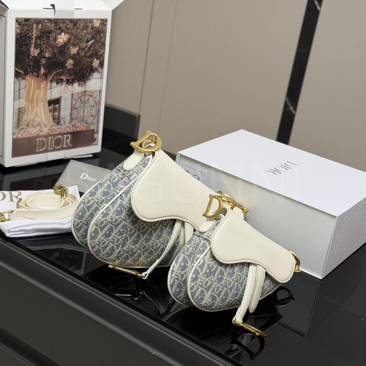 디올 오블리크 새들 숄더백