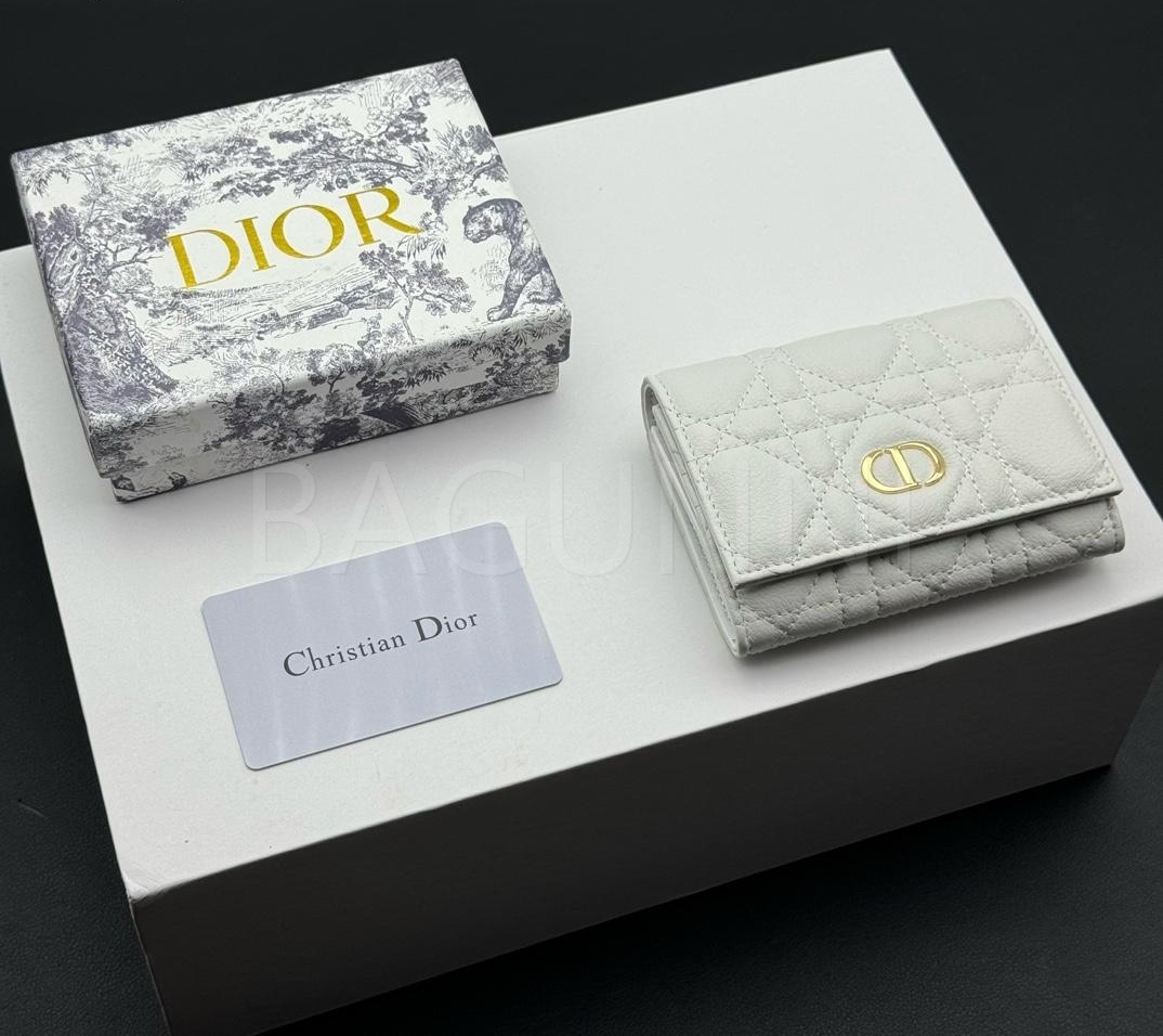 디올 카로 카드지갑