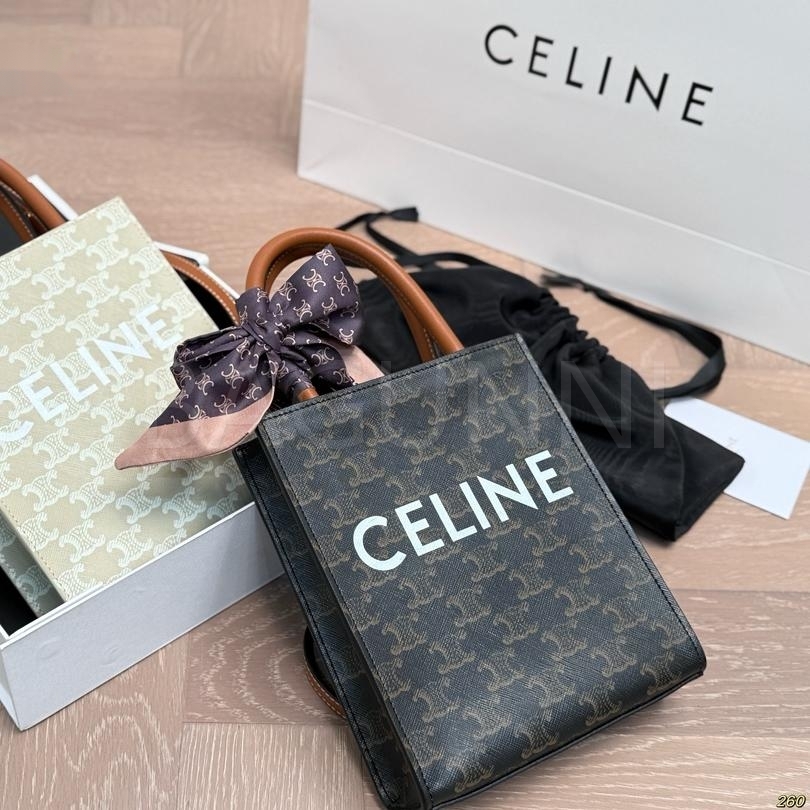 셀린느 트리옹프 메신저백