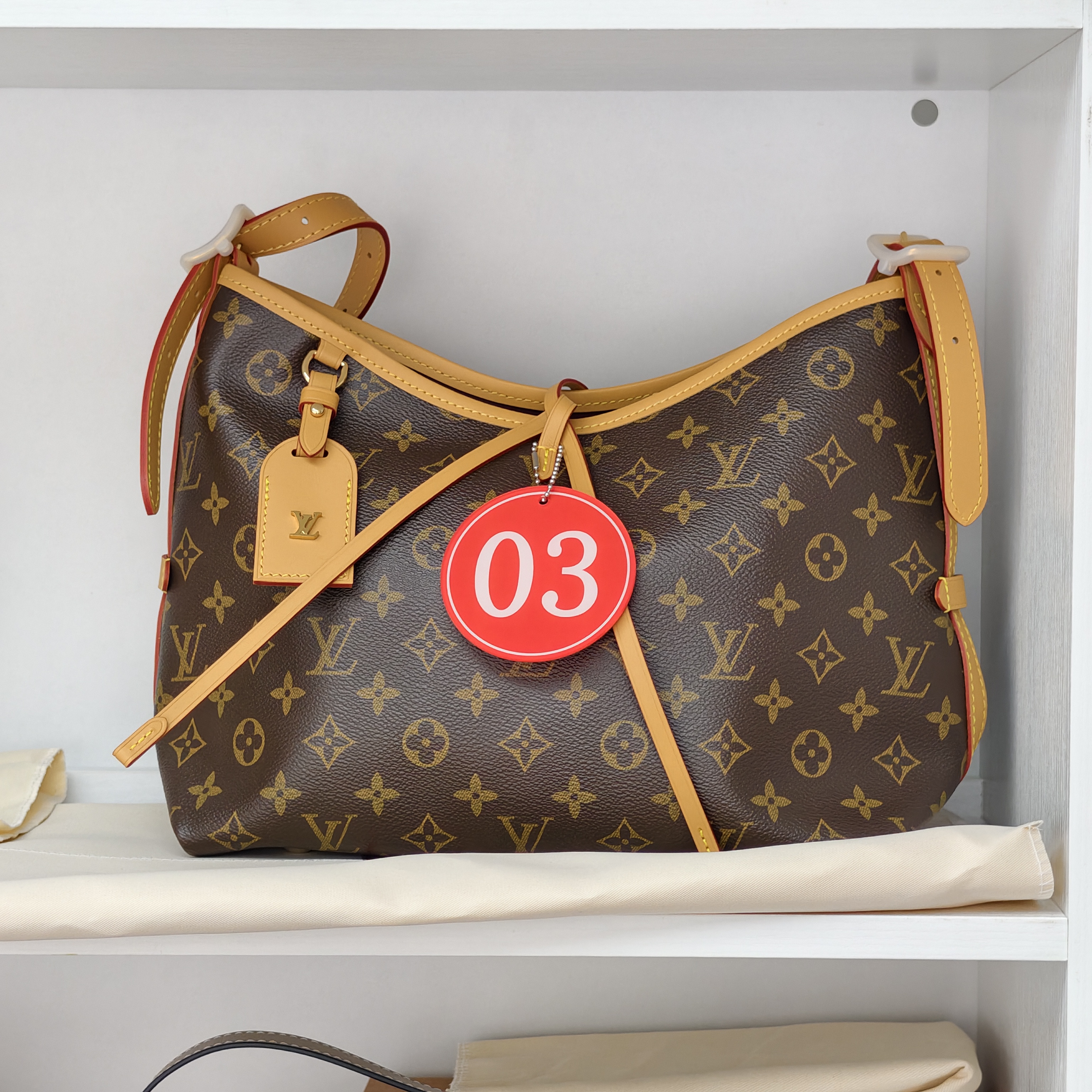 [live3] 루이비통 캐리올(CarryAll) PM 핸드백